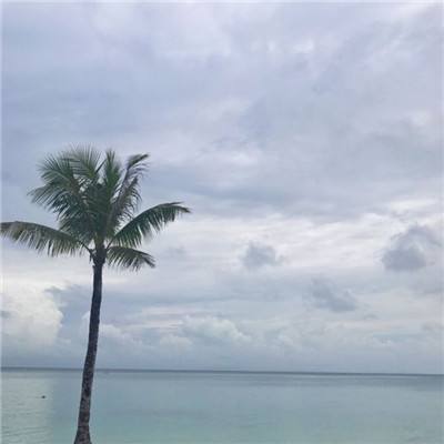 霸世群雄单机版下载